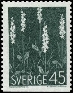 Colnect-4269-955-Platanthera-bifolia---Lesser-Butterfly-orchid.jpg