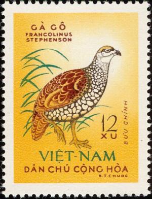 Colnect-1445-795-Chinese-Francolin-Francolinus-pintadeanus.jpg