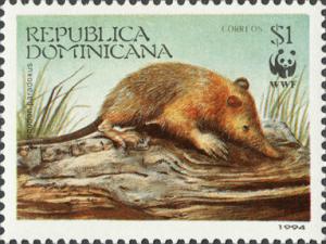 Colnect-3147-354-Hispaniolan-Solenodon-Solenodon-paradoxus.jpg