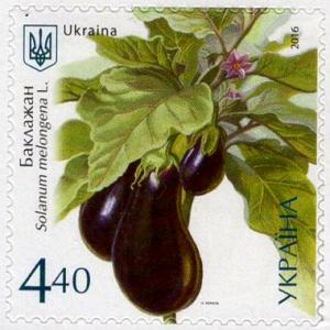 Colnect-3639-546-Solanum-melongena.jpg