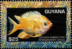 Colnect-4929-754-Golden-Damselfish.jpg