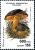Colnect-2165-299-Boletus-erythropus.jpg
