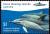 Colnect-3343-044-Common-Dolphin-Delphinus-delphis.jpg