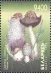 Colnect-191-403-Mushrooms-Coprinus-comatus.jpg