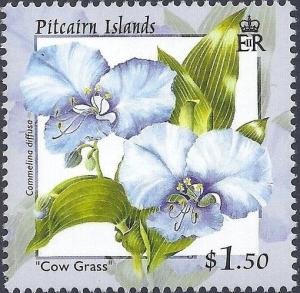 Colnect-2408-272-Commelina-diffusa.jpg
