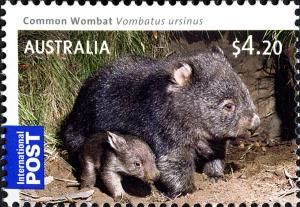 Colnect-666-285-Common-Wombat-Vombatus-ursinus.jpg