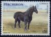 Colnect-1295-416-Percheron-Equus-ferus-caballus.jpg