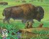 Colnect-201-661-American-Bison-Bison-bison-Black-tailed-Prairie-Dog.jpg