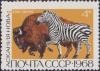 Colnect-3240-522-American-Bison-Bison-bison-Plains-Zebra-Equus-quagga.jpg