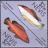Colnect-4411-160-Coney-butterfishes.jpg