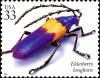 Colnect-6148-037-Elderberry-Longhorn-Desmocerus-palliatus.jpg