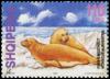 Colnect-6234-286-Mediteranean-Monk-Seal-Monachus-albiventris.jpg