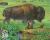 Colnect-201-661-American-Bison-Bison-bison-Black-tailed-Prairie-Dog.jpg