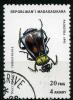 Colnect-1407-824-Gold-necked-Carrion-Beetle-Necrophorus-tomemtosus.jpg