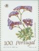 Colnect-177-490-Limonium-multiflorum.jpg