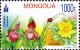 Colnect-2138-122-Mongolian-Flowers.jpg