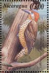 Colnect-3803-036-Golden-olive-Woodpecker-Colaptes-rubiginosus.jpg