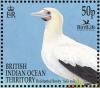 Colnect-4412-903-Red-footed-Booby-Sula-sula.jpg