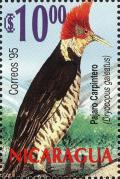 Colnect-4566-600-Helmeted-Woodpecker-Celeus-galeatus.jpg