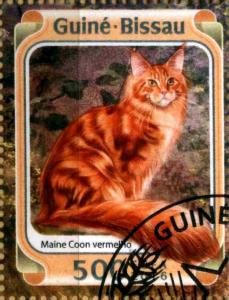Colnect-3946-139-Red-Maine-Coon-Felis-silvestris-catus.jpg