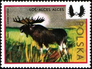 Colnect-1980-830-Moose-Alces-alces.jpg