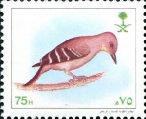 Colnect-5313-602-Arabian-Woodpecker-Picoides-dorae.jpg