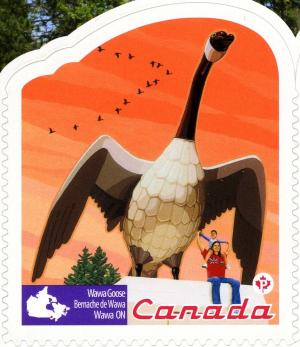 Colnect-768-319-Canada-Goose-Branta-canadensis.jpg