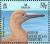 Colnect-4412-900-Red-footed-Booby-Sula-sula.jpg