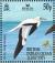 Colnect-4412-901-Red-footed-Booby-Sula-sula.jpg