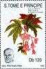 Colnect-5363-655-Pope-John-Paul-II-looking-slightly-to-left-and-flower.jpg