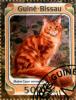 Colnect-3946-139-Red-Maine-Coon-Felis-silvestris-catus.jpg