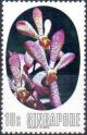 Colnect-3012-877-Arachnis-hookeriana-x-Vanda-hio-blue.jpg