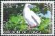 Colnect-3742-809-Red-footed-Booby-Sula-sula.jpg