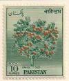 ARC-pakistan07.jpg-crop-188x220at317-1055.jpg