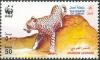 Colnect-1541-198-Arabian-Leopard-Panthera-pardus-nimr.jpg
