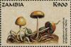 Colnect-3056-490-Stropharia-semiglobata.jpg