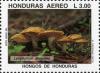 Colnect-3106-850-Lyophyllum-decastes.jpg