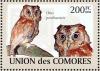 Colnect-3669-397-Pemba-Scops-Owl%C2%A0Otus-pembaensis.jpg