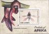 Colnect-4808-350-Bulbophyllum-cochleatum.jpg