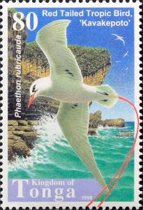 Colnect-2537-705-Red-tailed-Tropicbird-Phaethon-rubricauda.jpg