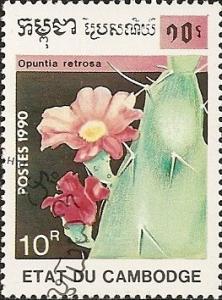 Colnect-1126-708-Opuntia-retrorsa.jpg