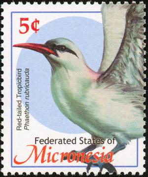 Colnect-1620-585-Red-tailed-Tropicbird-Phaethon-rubricauda.jpg