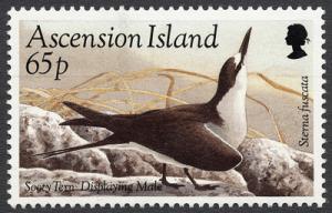 Colnect-853-309-Sooty-Tern-Onychoprion-fuscatus---courting-Male.jpg