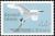 Colnect-1599-510-Red-tailed-Tropicbird-Phaethon-rubricauda.jpg