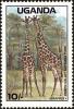 Colnect-4277-813-Giraffe-Giraffa-camelopardalis-Kidepo-Valley-National-Par.jpg