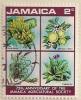 ARC-jamaica25.jpg-crop-175x216at268-277.jpg