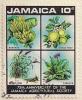 ARC-jamaica25.jpg-crop-178x216at474-276.jpg