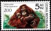 Colnect-1448-297-Bornean-Orangutan-Pongo-pygmaeus.jpg