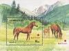 Colnect-196-119-Karabakh-Horse-Equus-ferus-caballus.jpg