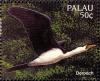 Colnect-2425-157-Little-Pied-Cormorant-Phalacrocorax-melanoleucos.jpg